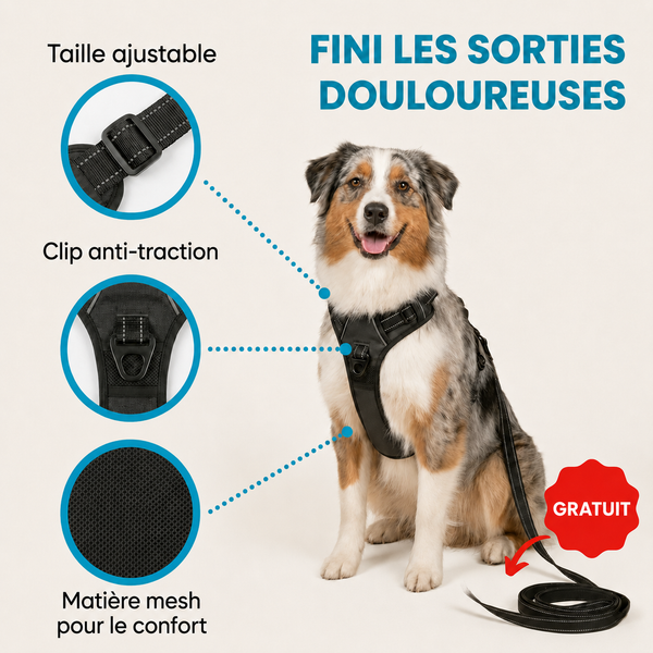 HARNAIS ANTI-TRACTION Dogdogy™