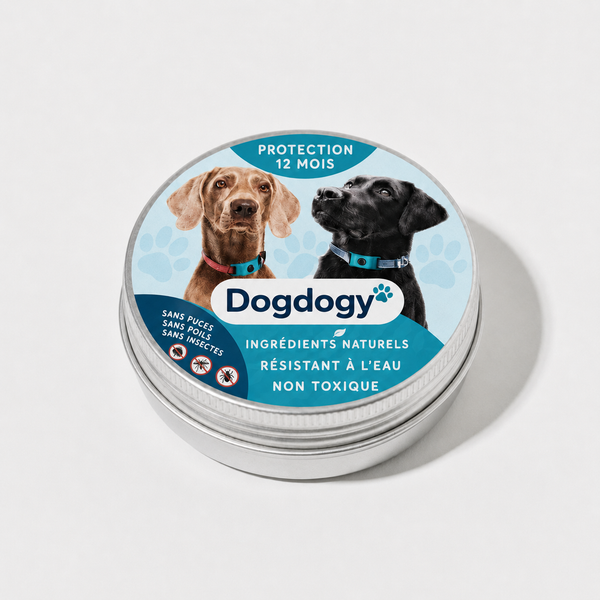 DogDogy™ Pendentif – 12 mois de protection naturelle pour chiens