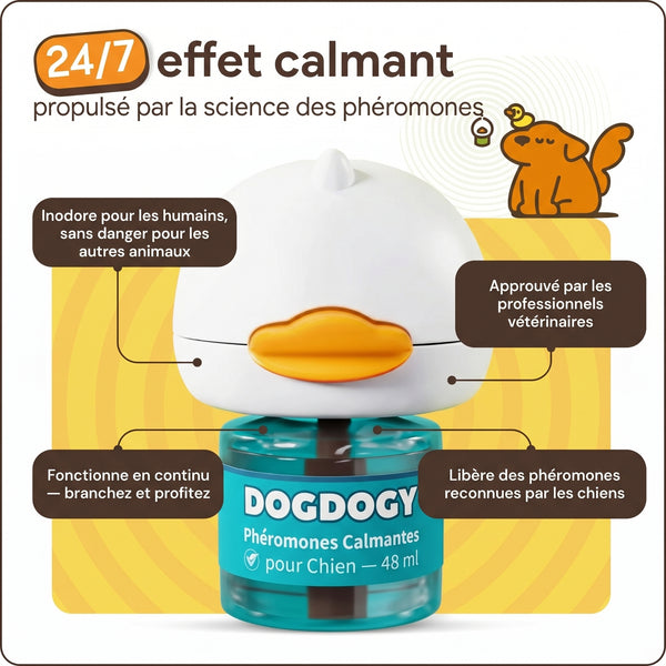 Kit Diffuseur de Phéromones pour Chien