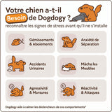 Recharges Phéromones Pour Diffuseur Chien