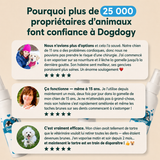 Spray dentaire Dogdogy
