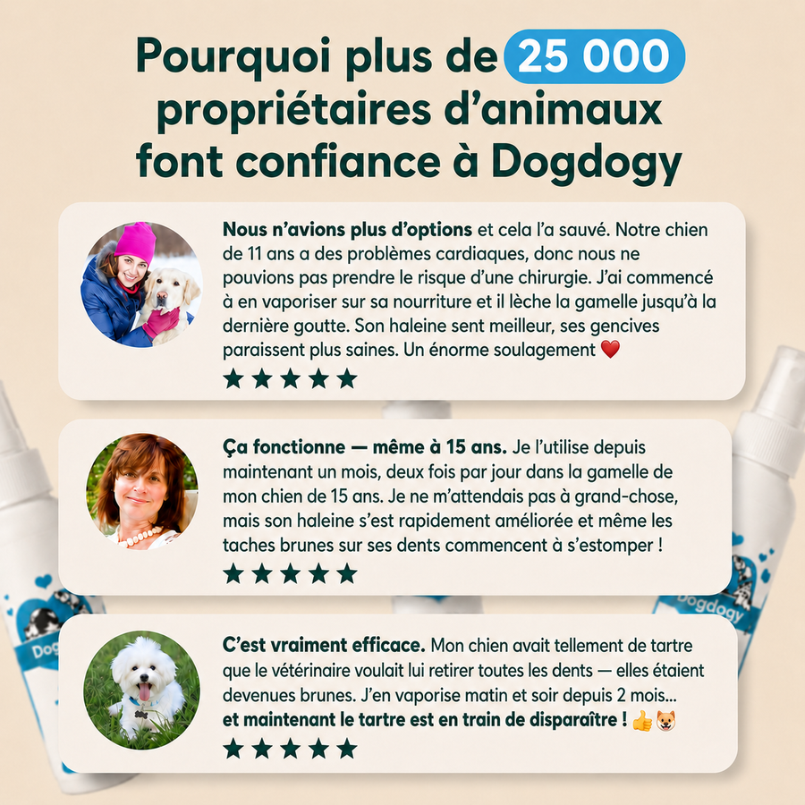 Spray dentaire Dogdogy