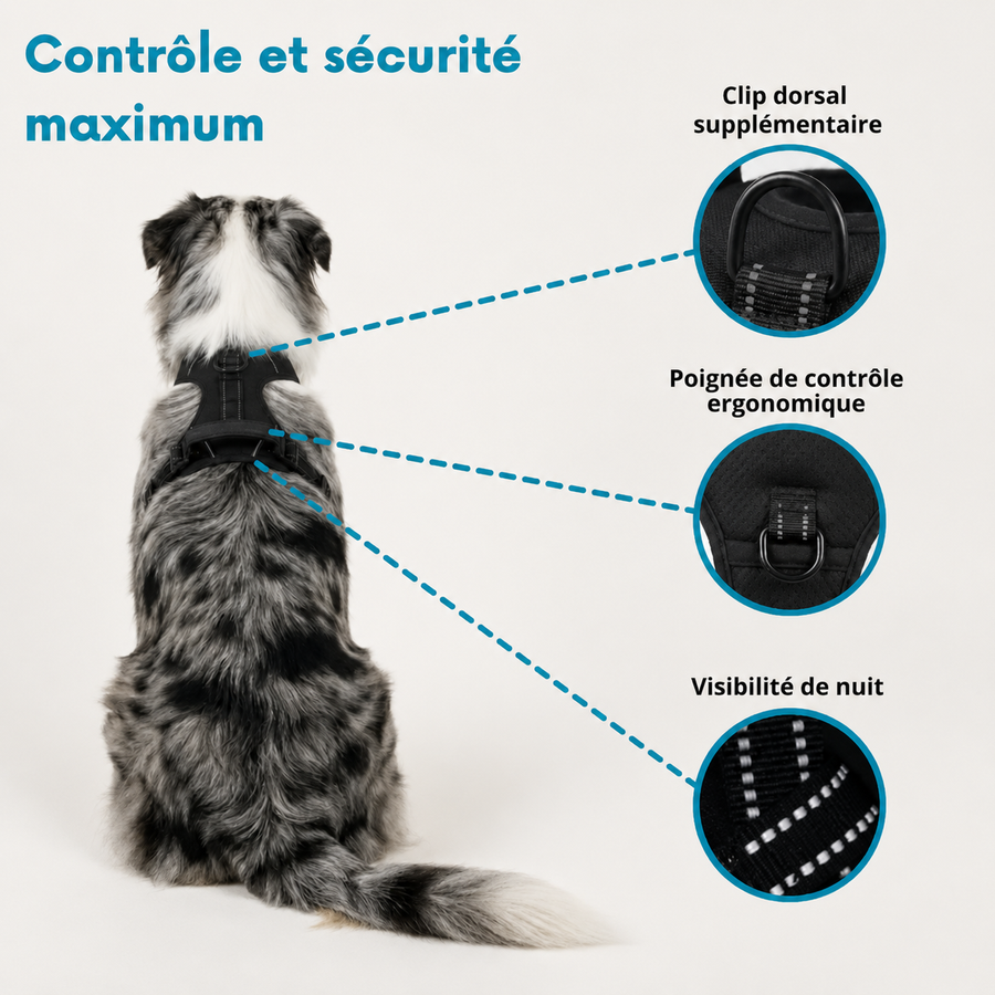 HARNAIS ANTI-TRACTION Dogdogy™