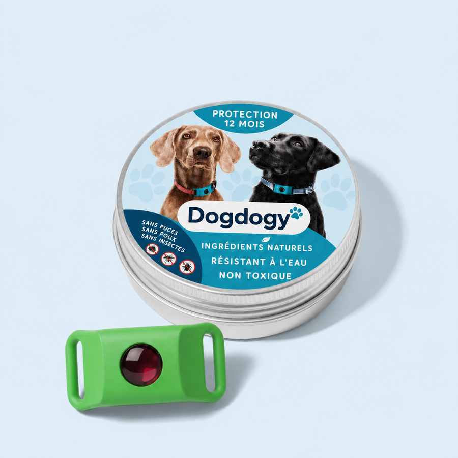 DogDogy™ Pendentif – 12 mois de protection naturelle pour chiens