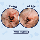 DogDogy™ - Nettoyeur d’oreilles