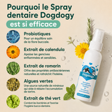 Spray dentaire Dogdogy