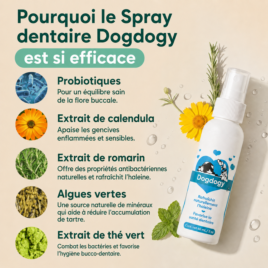 Spray dentaire Dogdogy