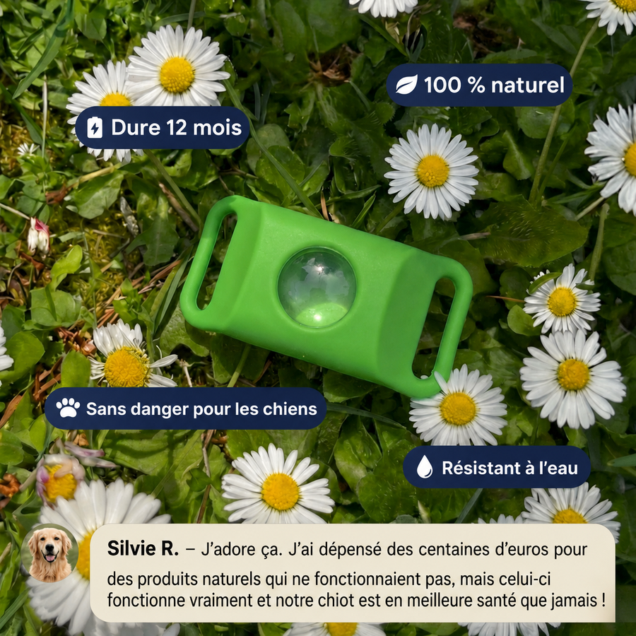 DogDogy™ Pendentif – 12 mois de protection naturelle pour chiens