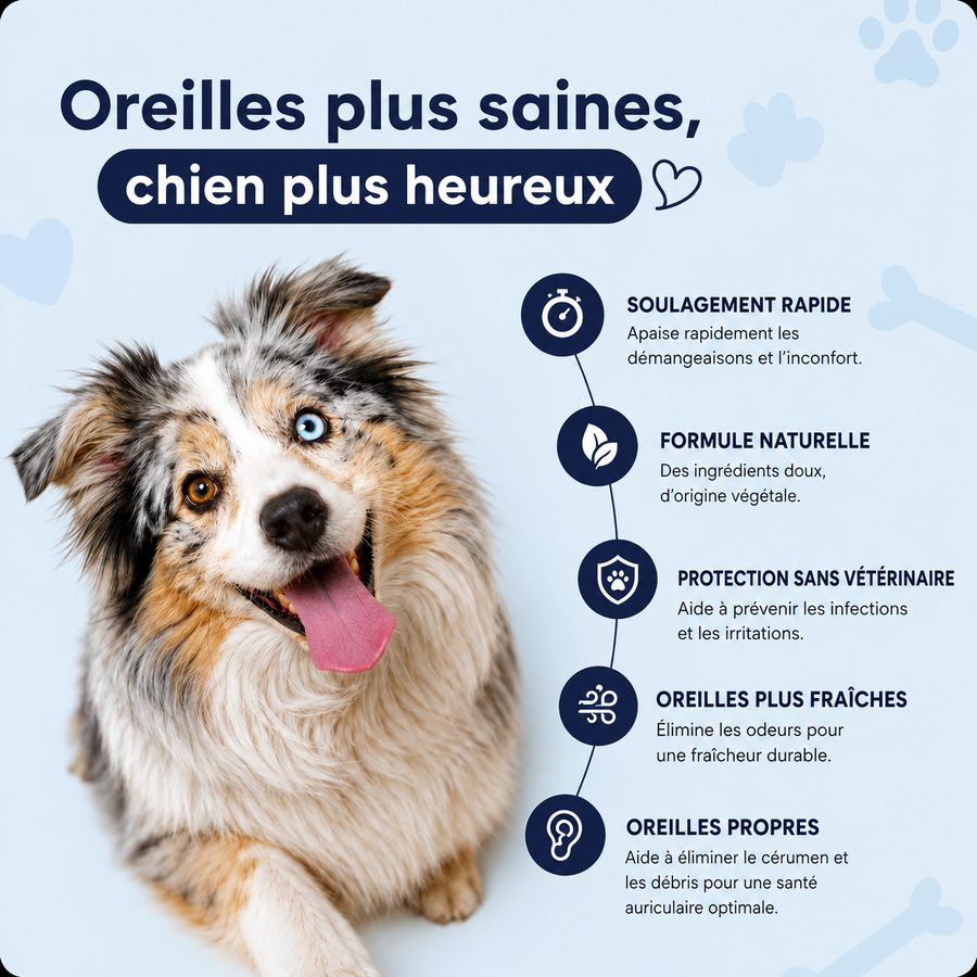 DogDogy™ - Nettoyeur d’oreilles