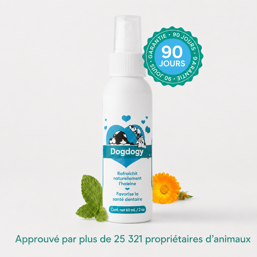 Spray dentaire Dogdogy