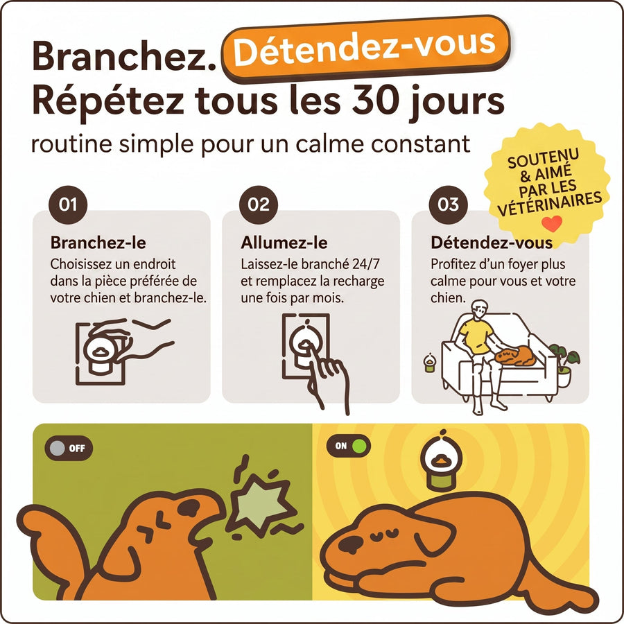 Recharges Phéromones Pour Diffuseur Chien