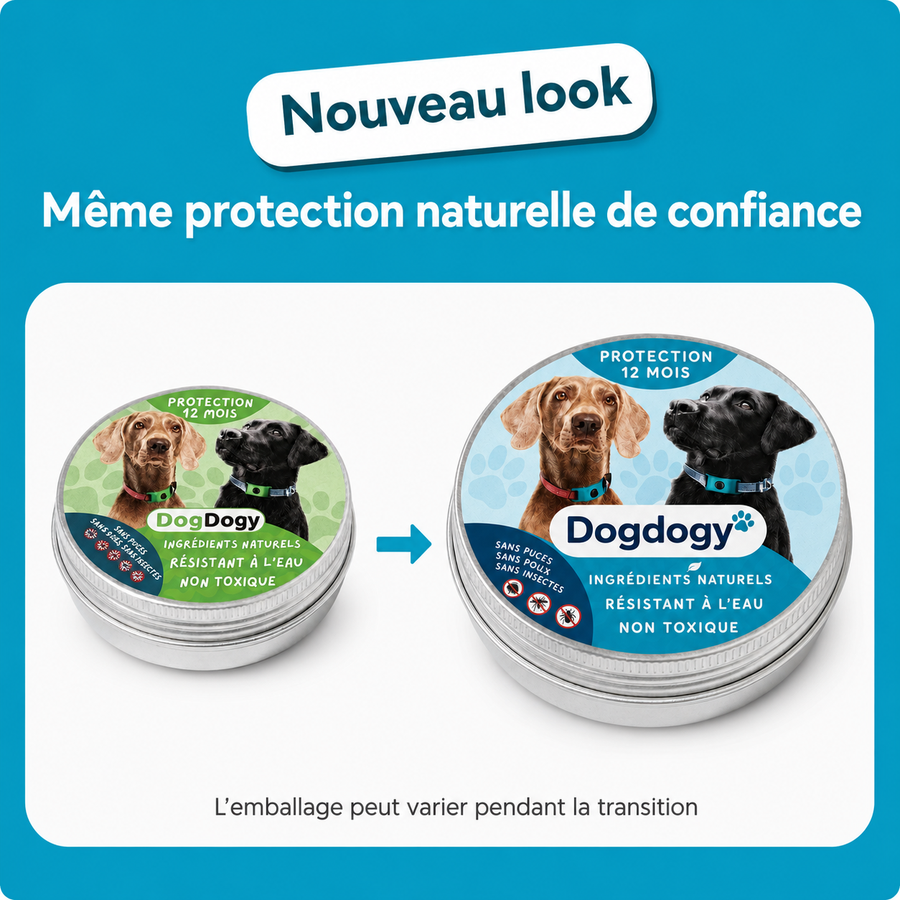 DogDogy™ Pendentif – 12 mois de protection naturelle pour chiens