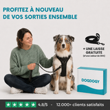 HARNAIS ANTI-TRACTION Dogdogy™
