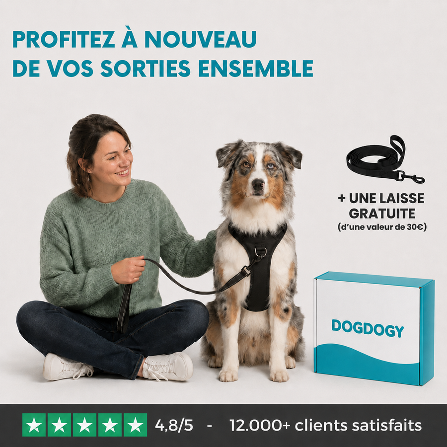HARNAIS ANTI-TRACTION Dogdogy™