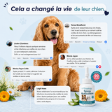 DogDogy™ - Nettoyeur d’oreilles