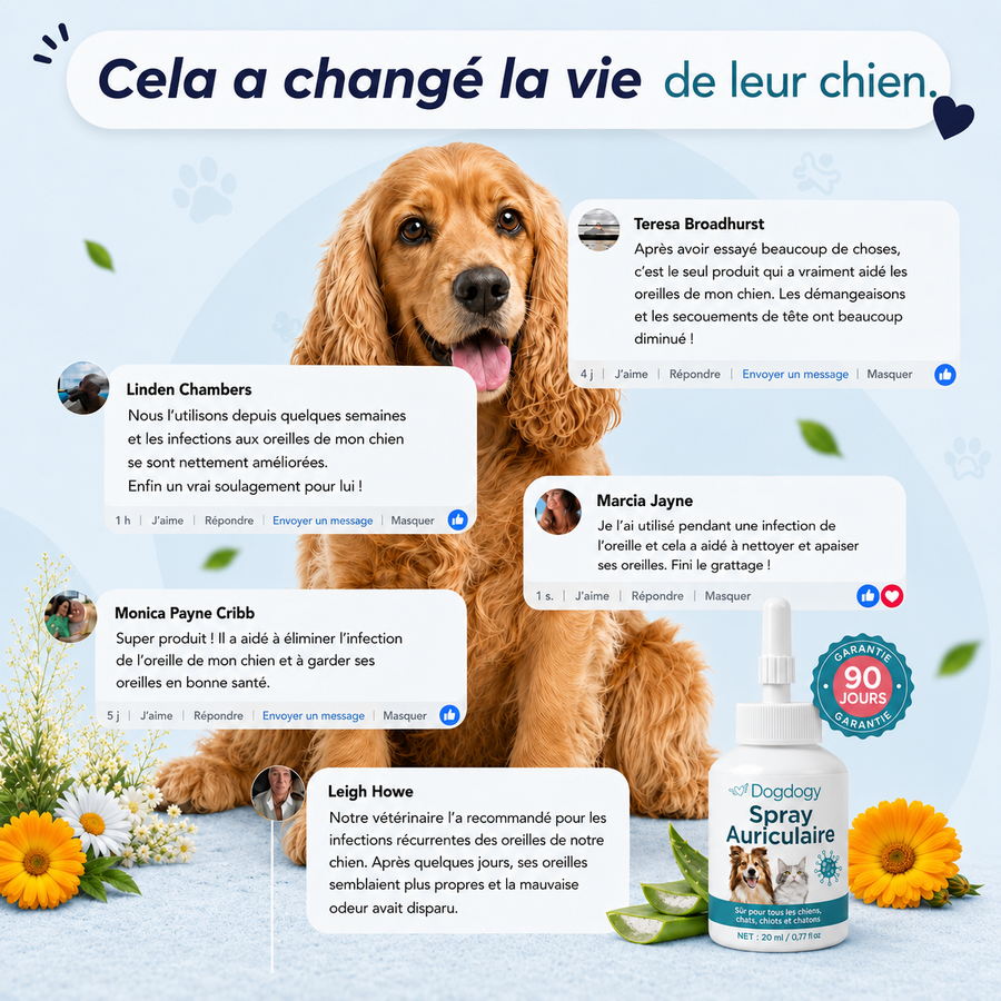 DogDogy™ - Nettoyeur d’oreilles