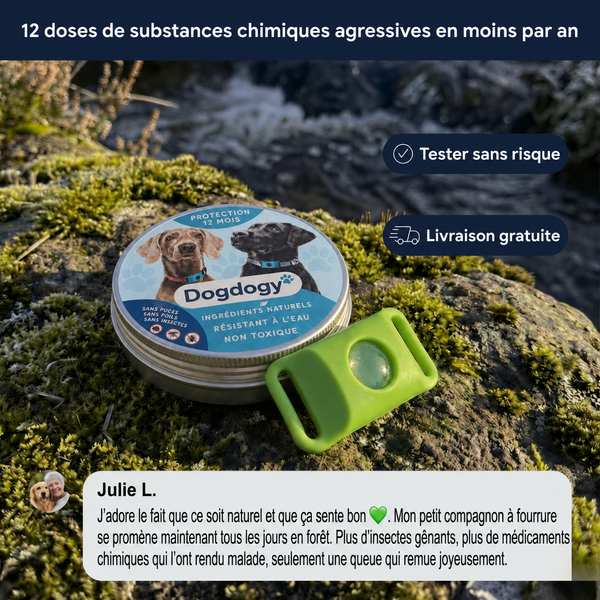 DogDogy™ Pendentif – 12 mois de protection naturelle pour chiens