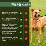 Laisse Anti-Traction Pour Chien