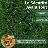 Laisse Anti-Traction Pour Chien