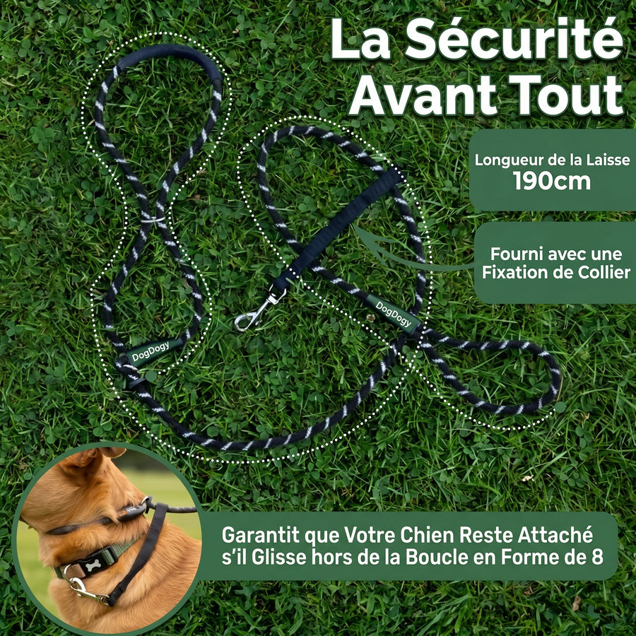 Laisse Anti-Traction Pour Chien