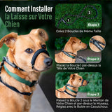 Laisse Anti-Traction Pour Chien