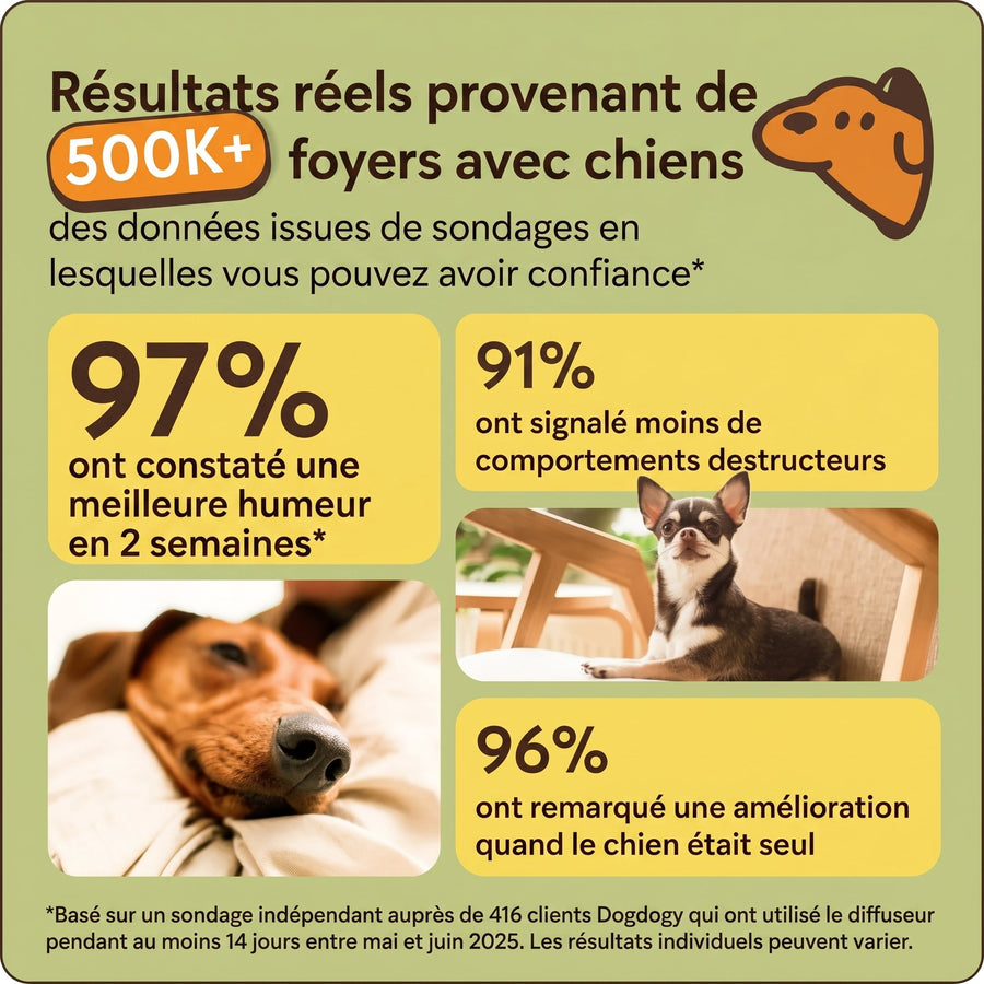 Recharges Phéromones Pour Diffuseur Chien