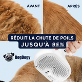 DogDogy™ Steami Pro - Brosse de toilettage professionnelle