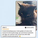 DogDogy™ Steami Pro - Brosse de toilettage professionnelle