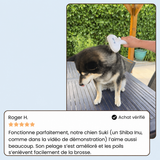 DogDogy™ Steami Pro - Brosse de toilettage professionnelle