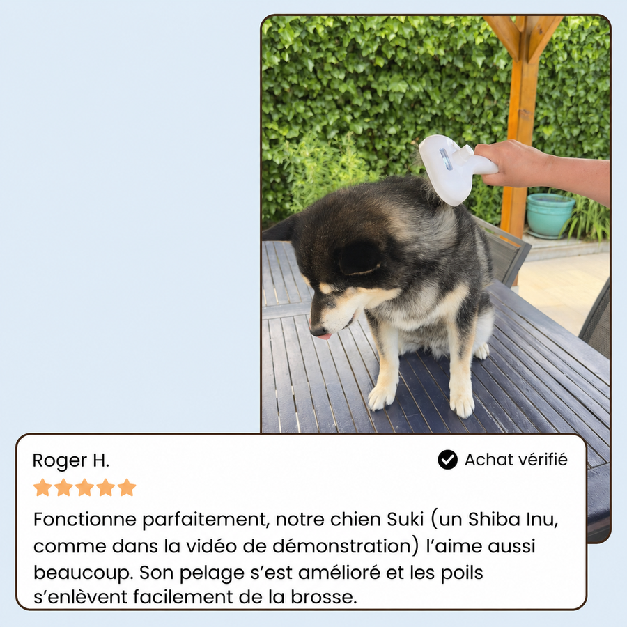 DogDogy™ Steami Pro - Brosse de toilettage professionnelle