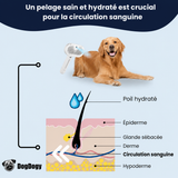 DogDogy™ Steami Pro - Brosse de toilettage professionnelle