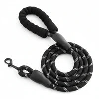 Laisse DogDogy offerte